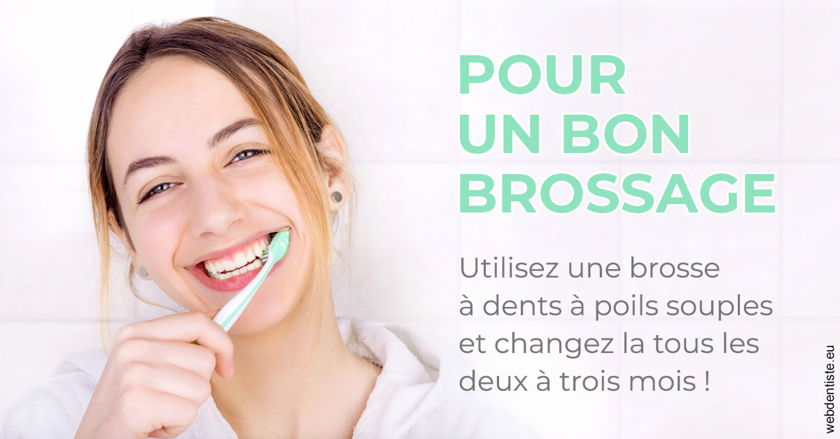 https://www.dr-chavrier-orthodontie-neuville.fr/Pour un bon brossage 2