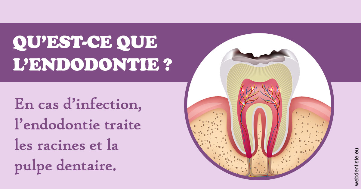 https://www.dr-chavrier-orthodontie-neuville.fr/2024 T1 - Endodontie 02