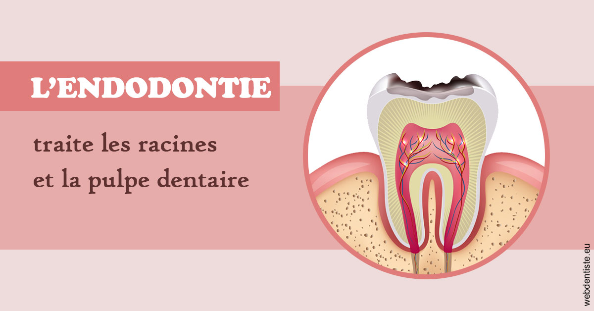 https://www.dr-chavrier-orthodontie-neuville.fr/L'endodontie 2