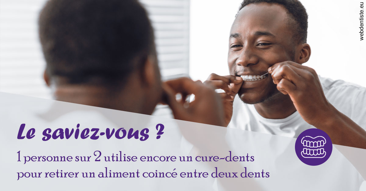 https://www.dr-chavrier-orthodontie-neuville.fr/Cure-dents 2