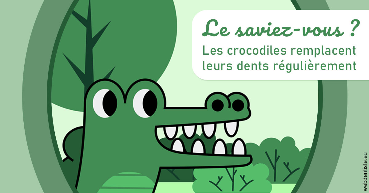 https://www.dr-chavrier-orthodontie-neuville.fr/Crocodiles 2