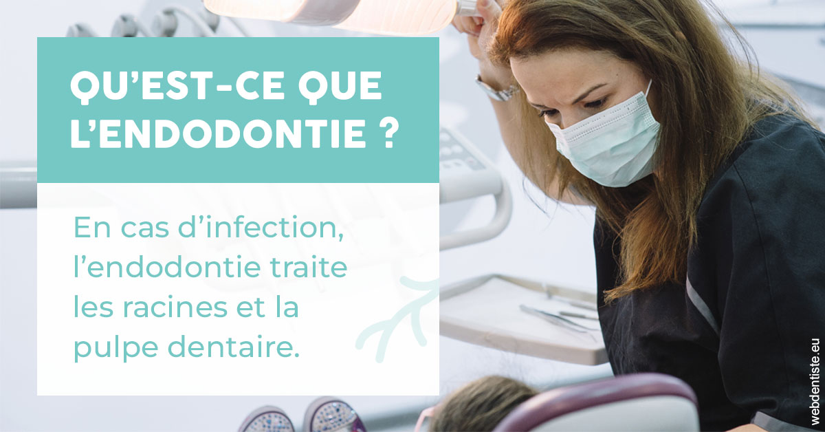 https://www.dr-chavrier-orthodontie-neuville.fr/2024 T1 - Endodontie 01